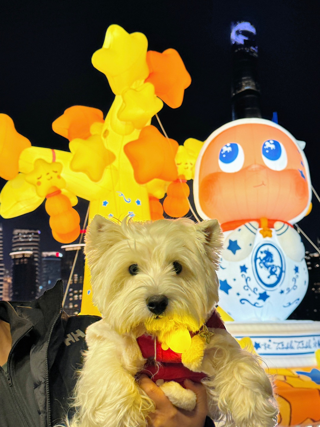 带小狗去看顶流星星人啦🌟