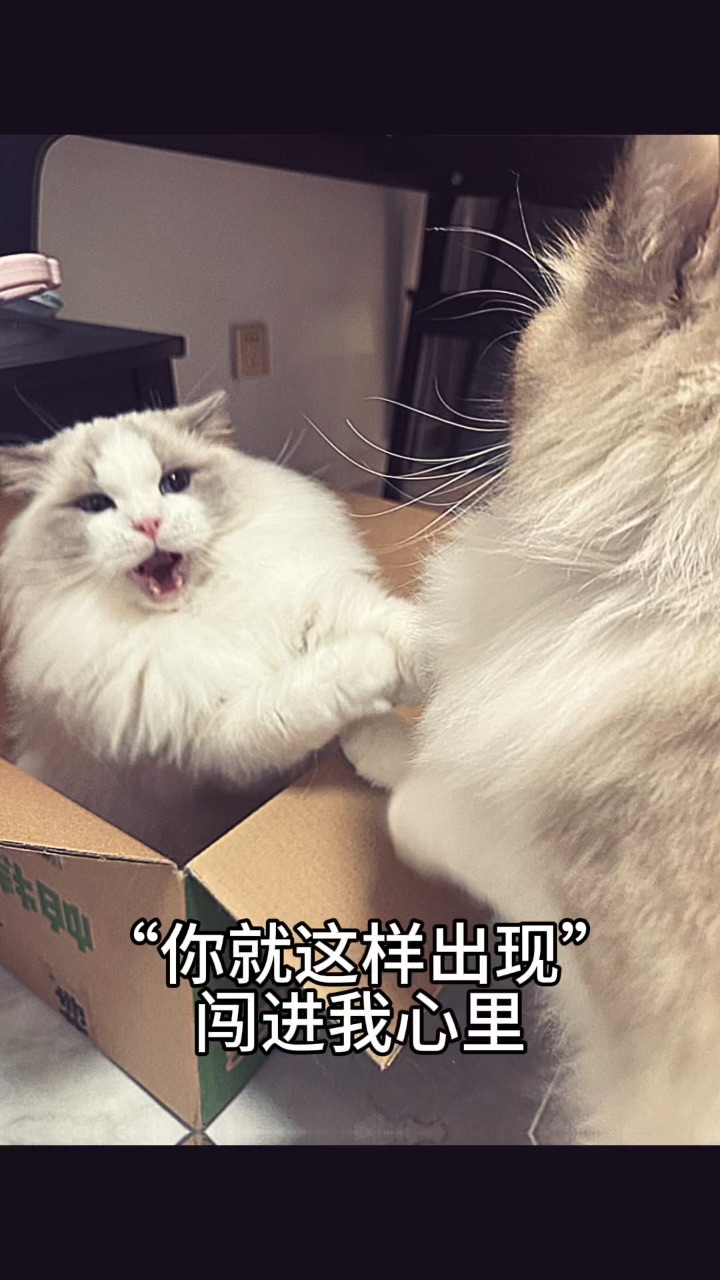 打打闹闹的长大了