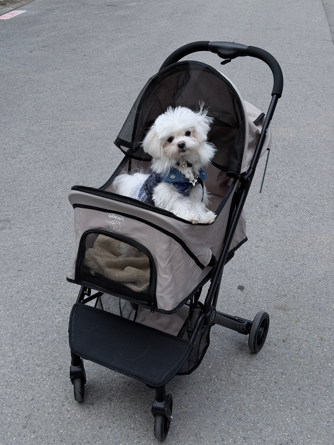 帅是一种感觉🕶️