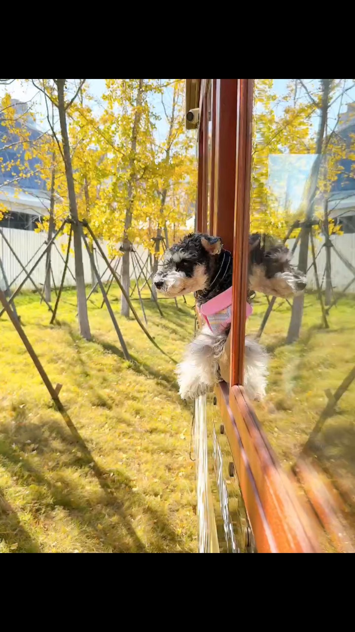 我的心里医生🧑⚕️