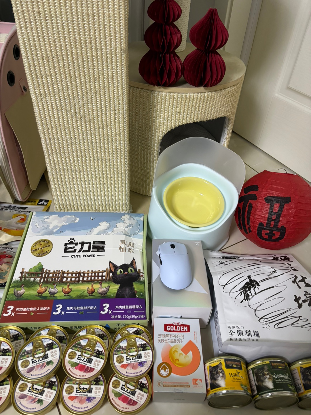 Hi~ o(*￣▽￣*)ブ*\(๑• ₃ •๑)(*´▽｀)ノノ