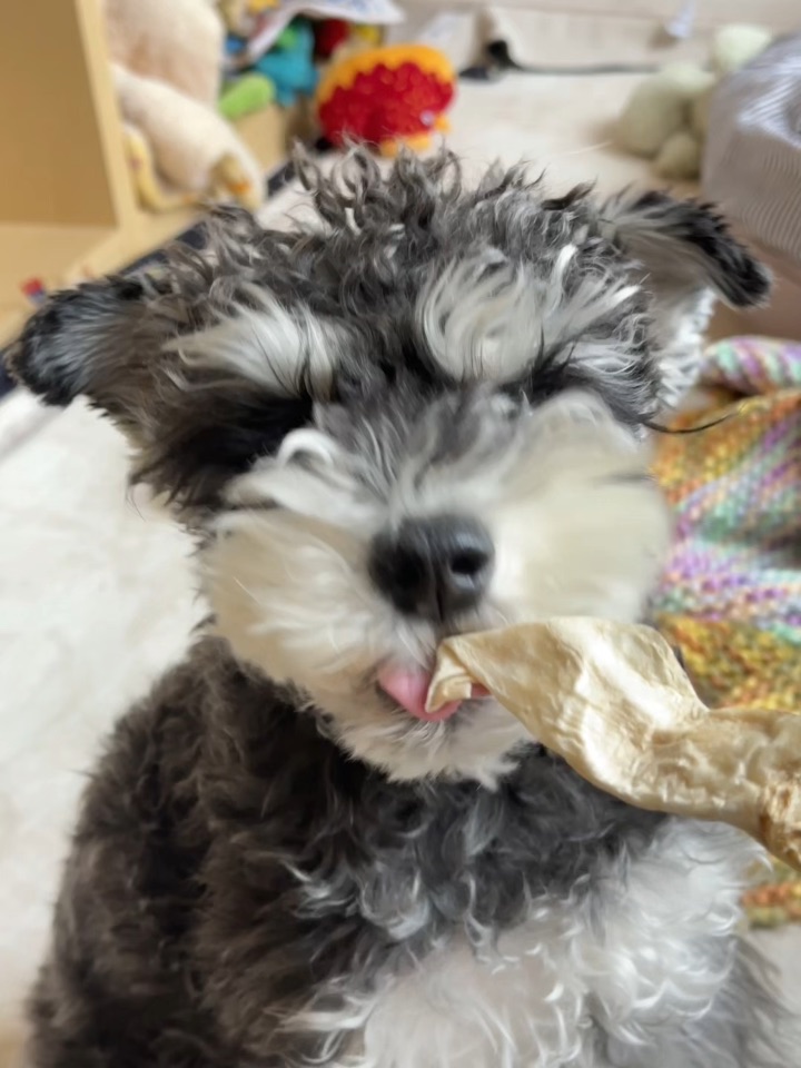 小斗努力半天皮外伤