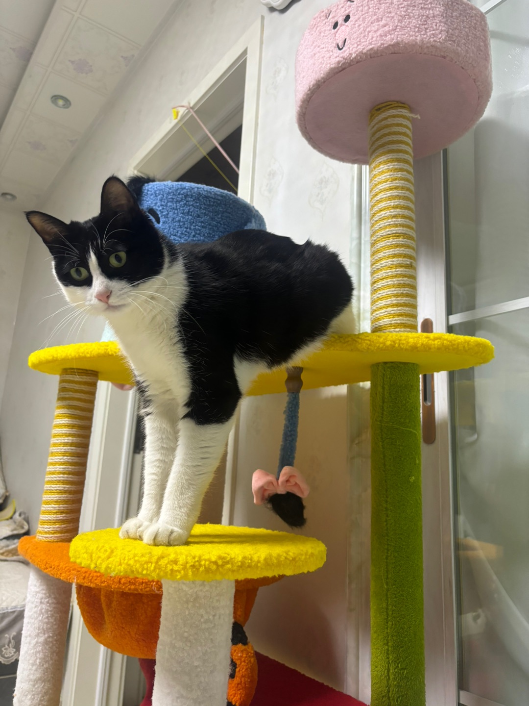 *\(๑• ₃ •๑)(^-^)/(^_^)ノ(^_^)ノ(^-^)/