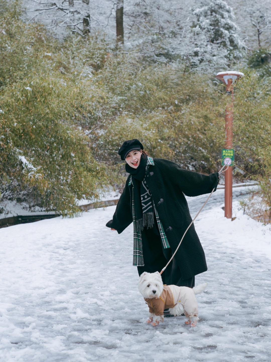 带小狗去看雪啦❄️