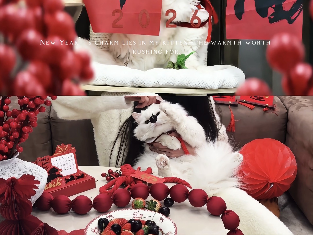 𝑽𝒍𝒐𝒈｜原来年味 是身边值得奔赴的温暖