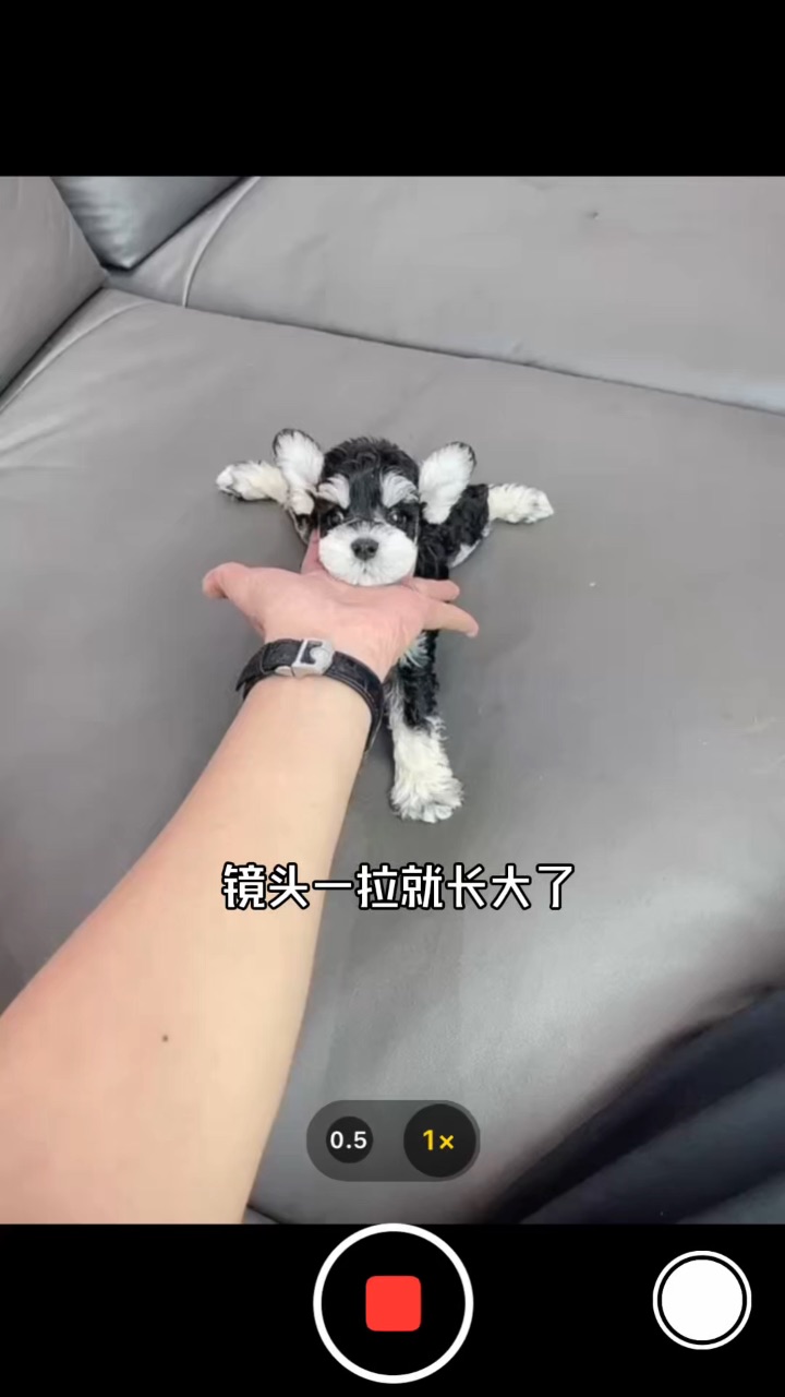 时间的参照物是什么