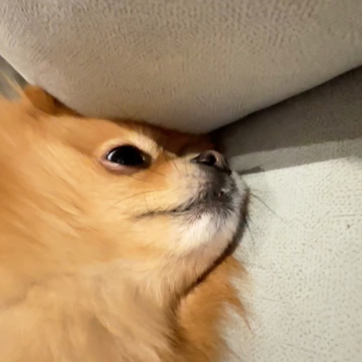 这就是你说的大城市工作吗？