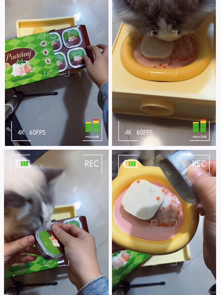 是好吃的，小布偶我喜欢8