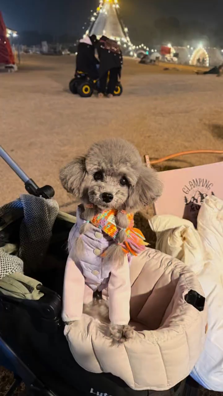 9岁哈妮身材苗条、没有泪痕秘诀是啥？