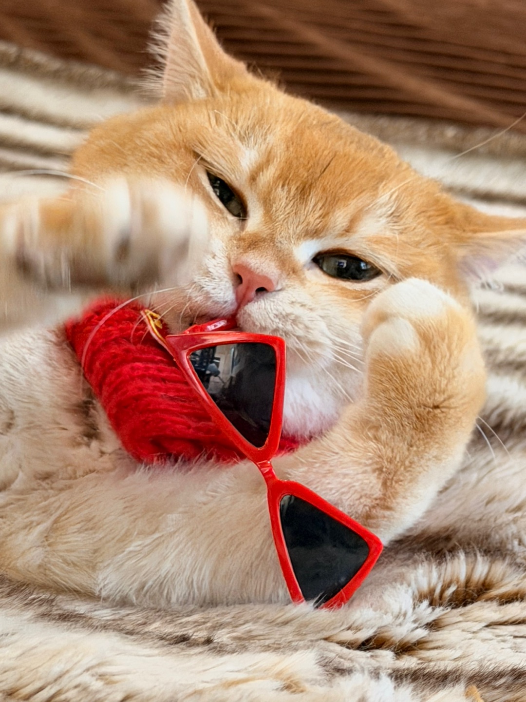 过年不营业，我的眼镜最香 🤪