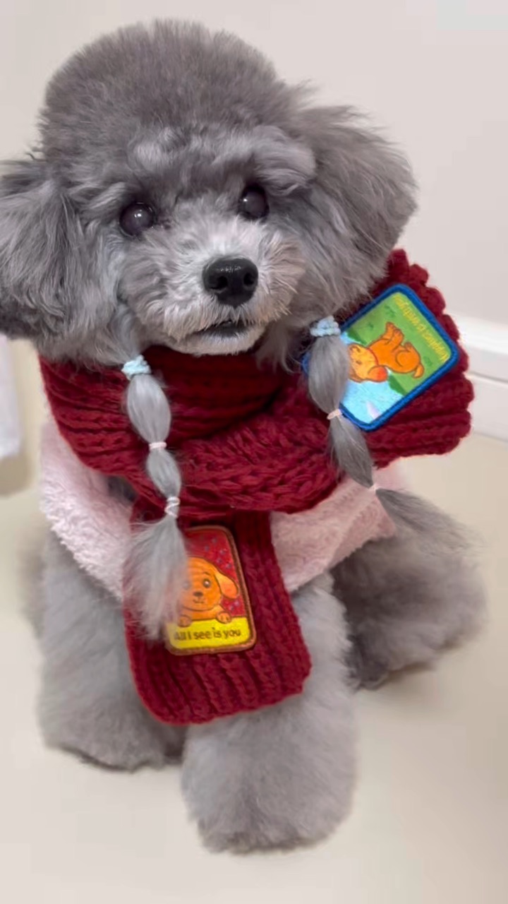 早上起床的小狗也是素颜哦～