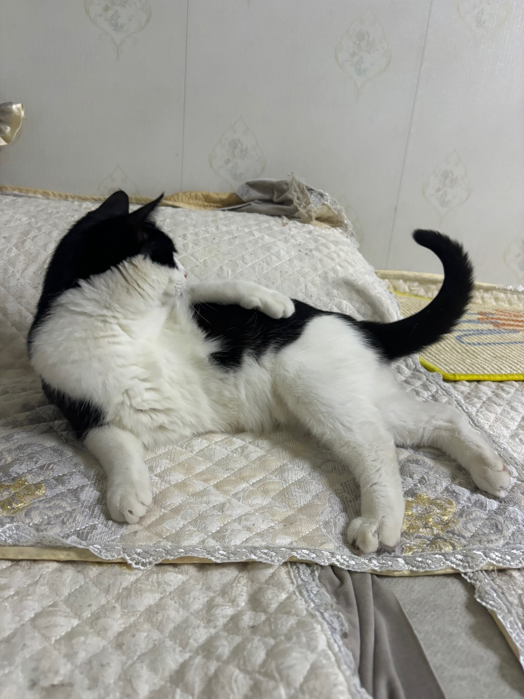 *\(๑• ₃ •๑)(^-^)/ヽ(^0^)ノ(^o^)／(^o^)／