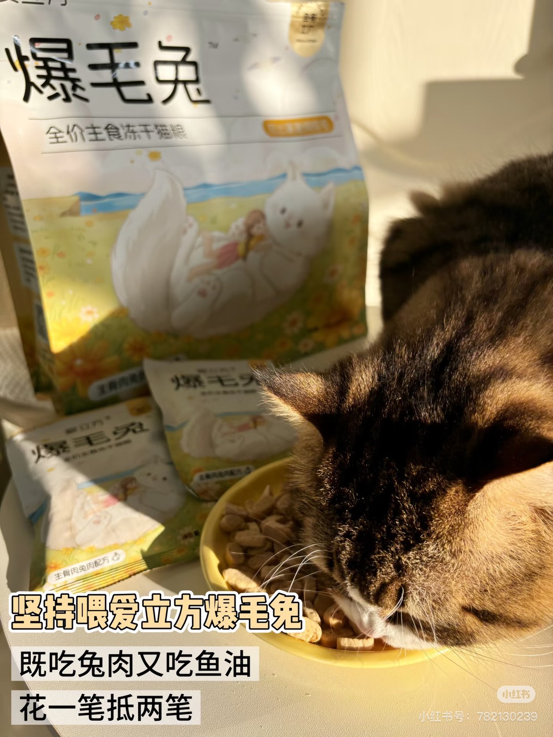 (^-^)/(^-^)/~(＾◇^)/*\(๑• ₃ •๑)(^-^)/