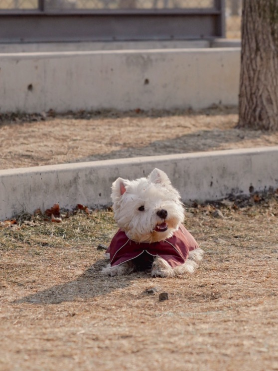 就这样跑进ee心里☺️