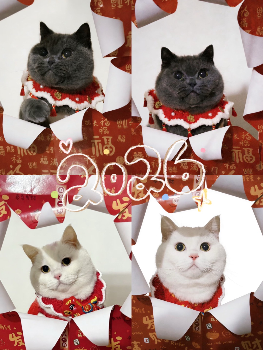 🏮 新年限定：穿过财”门，烦恼全滚蛋！