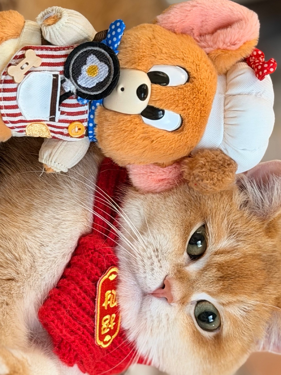 这是我的新年新玩伴😂😂😂