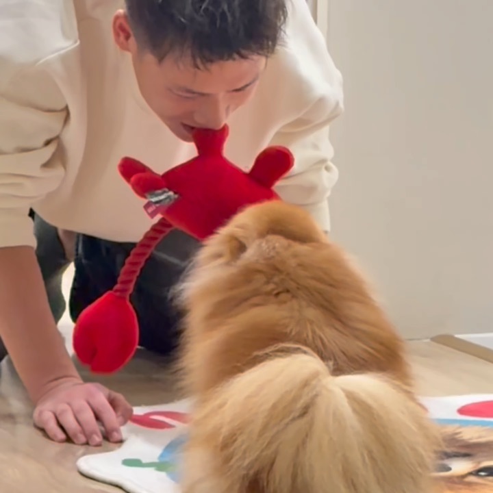 怎么有人欺负小抖！