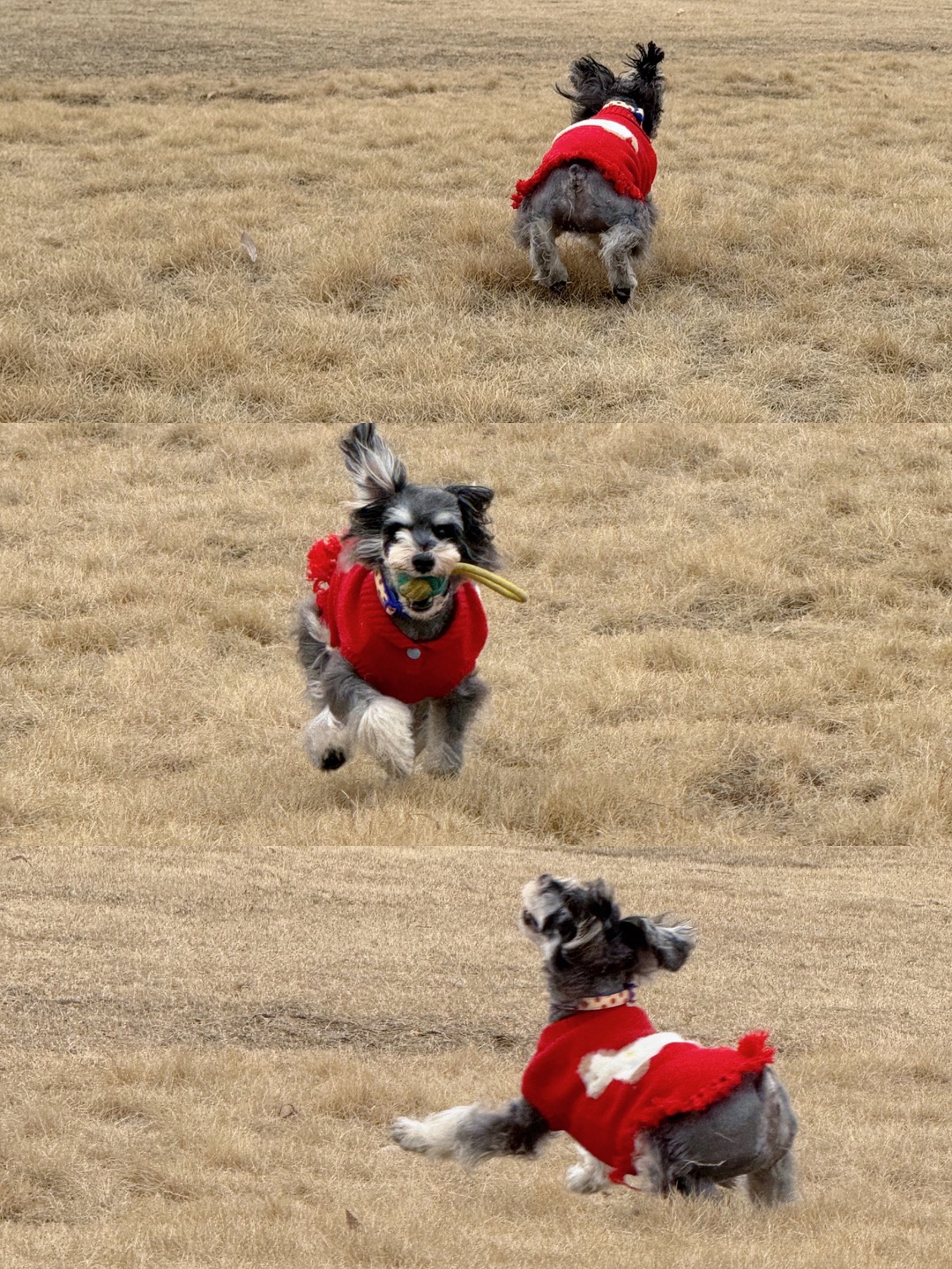嗨嗨嗨～一起来玩呀🐾