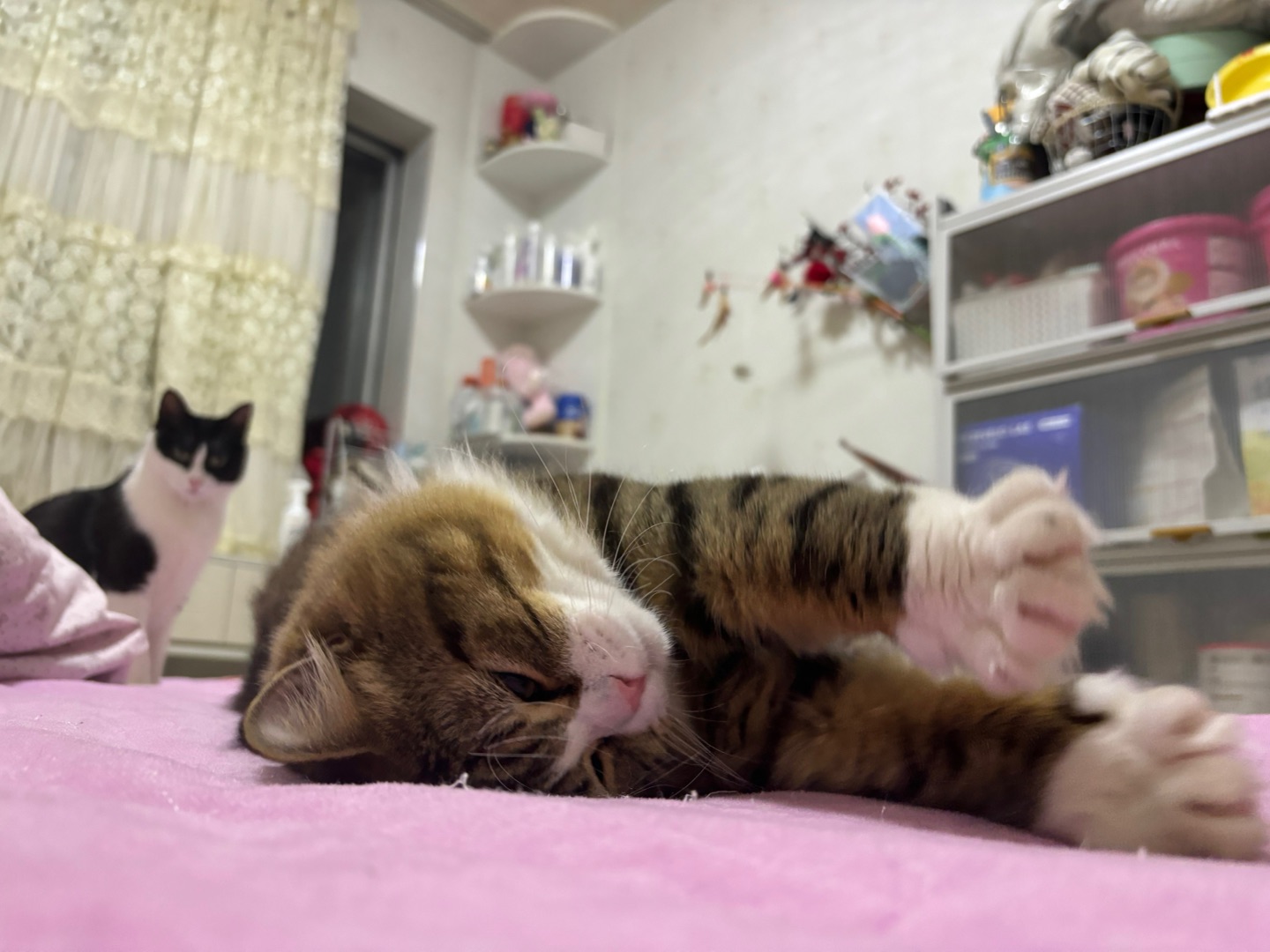 (*´▽｀)ノノ~(＾◇^)/(*´▽｀)ノノHi~ o(*￣▽￣*)ブ