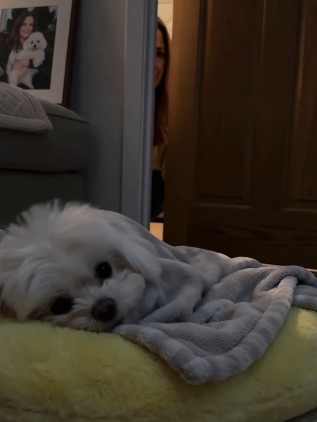 那么各位ee晚安😴