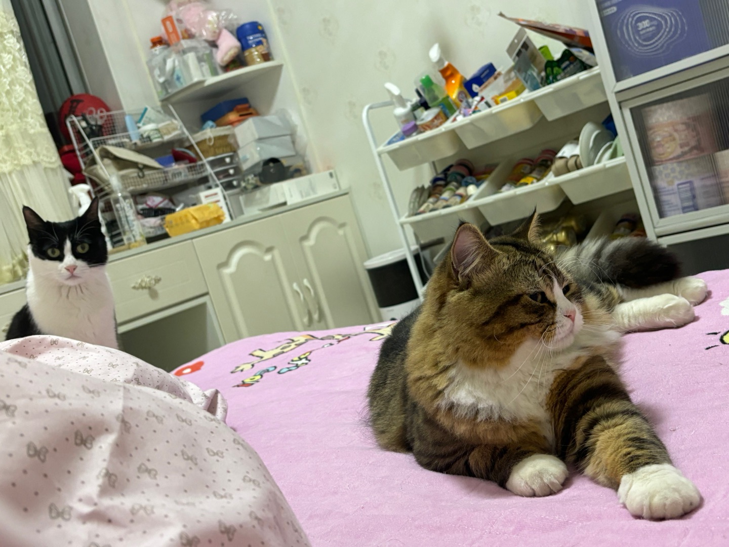 (*´▽｀)ノノ~(＾◇^)/(*´▽｀)ノノHi~ o(*￣▽￣*)ブ