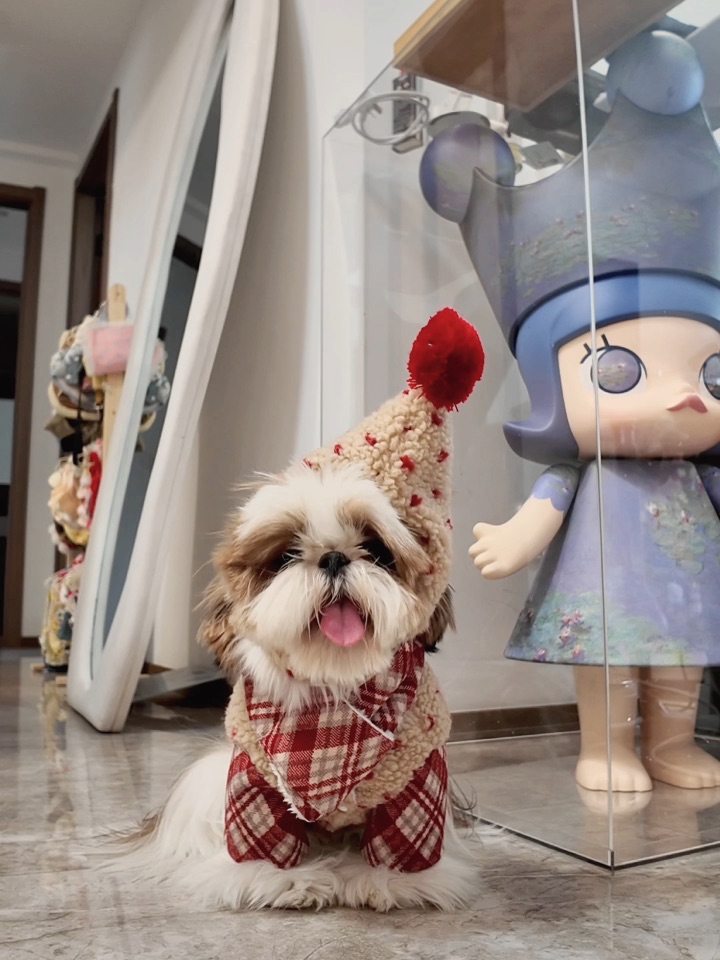 小狗加入大扫除的活动