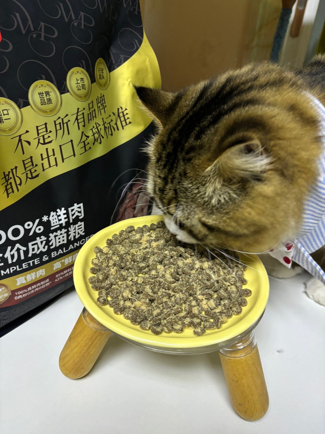 (^-^)/ヽ(^0^)ノ( ´ ▽ ` )ノ( ´ ▽ ` )ノヽ(^0^)ノ