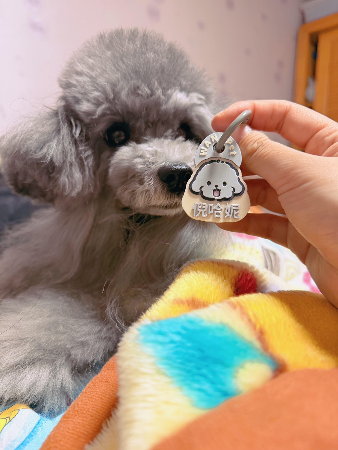 很可爱的定制防丢狗牌get✅ 出门在外虽然都是牵绳遛狗、但有了狗牌更安心哦～ 😘更重要的是～喜欢小狗的姨姨们 一眼就知道小狗叫什么名字啦👍