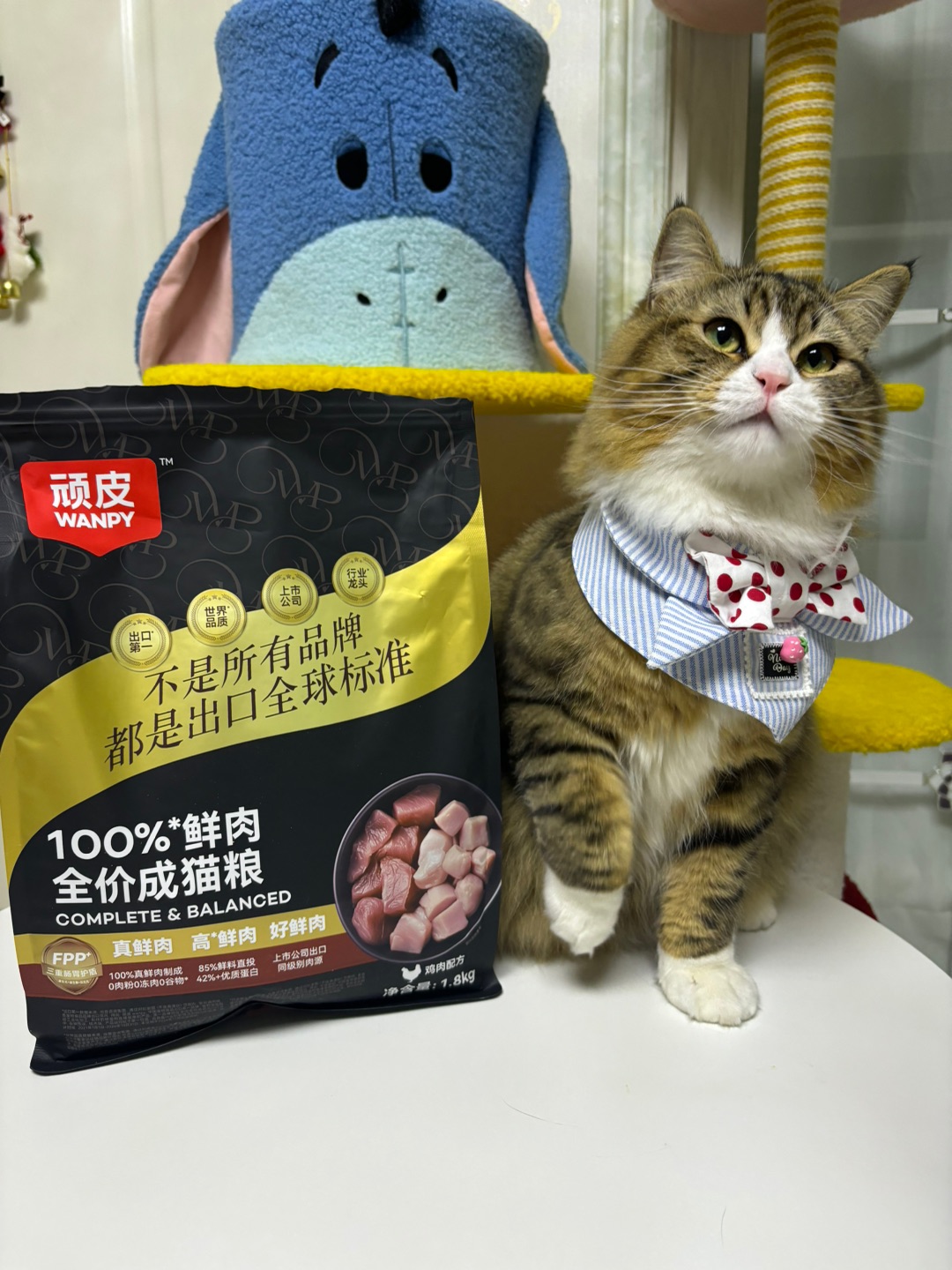 (^-^)/ヽ(^0^)ノ( ´ ▽ ` )ノ( ´ ▽ ` )ノヽ(^0^)ノ