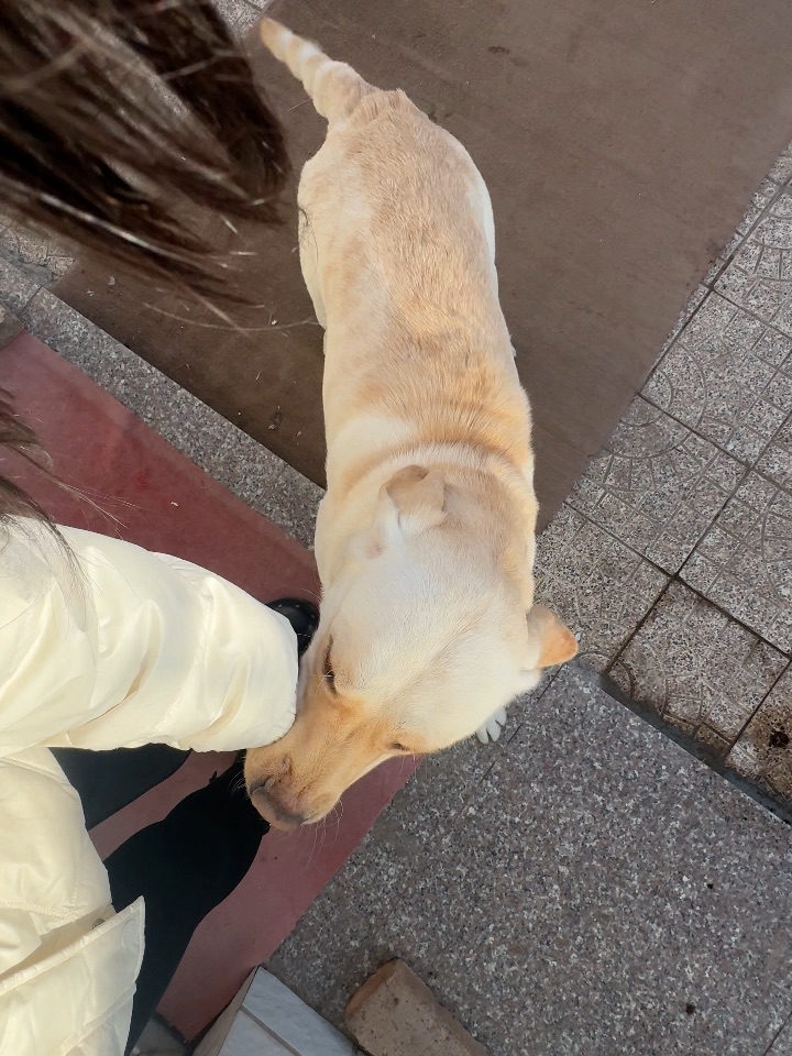 宝宝 怎么这么会夹呀