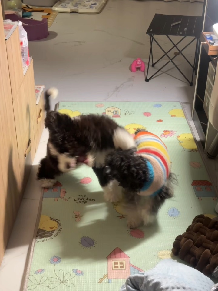 二万打二千万帮谁