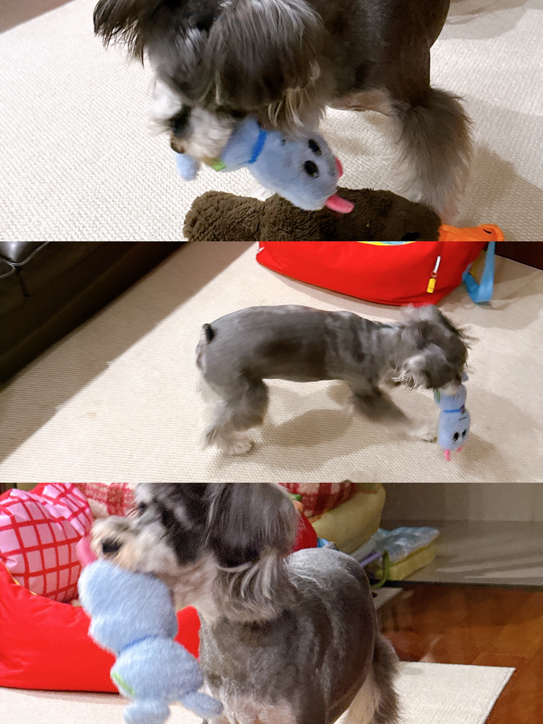 小狗新宠-火星来电毛绒玩具💎