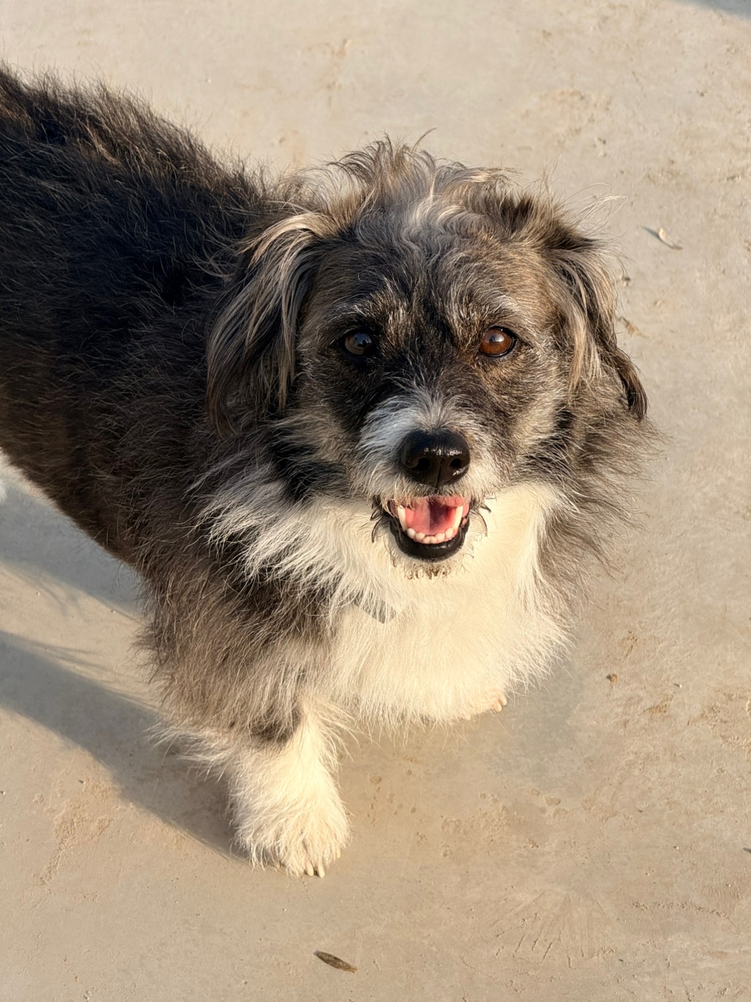 回村一天就变成脏脏包了