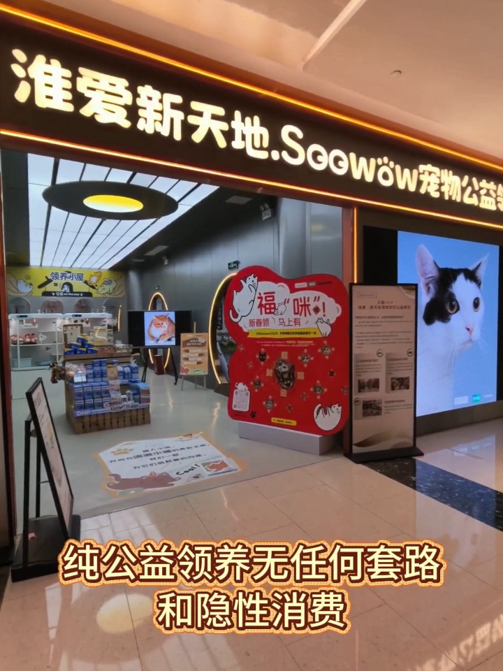 宠物公益领养｜新春特别活动 🧨快来领福！