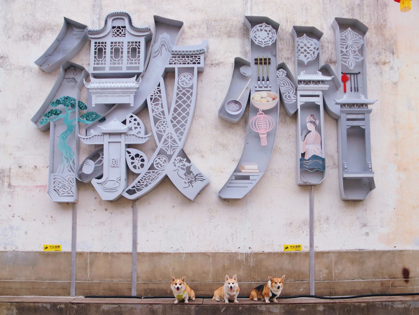 报告，小狗打卡新地图