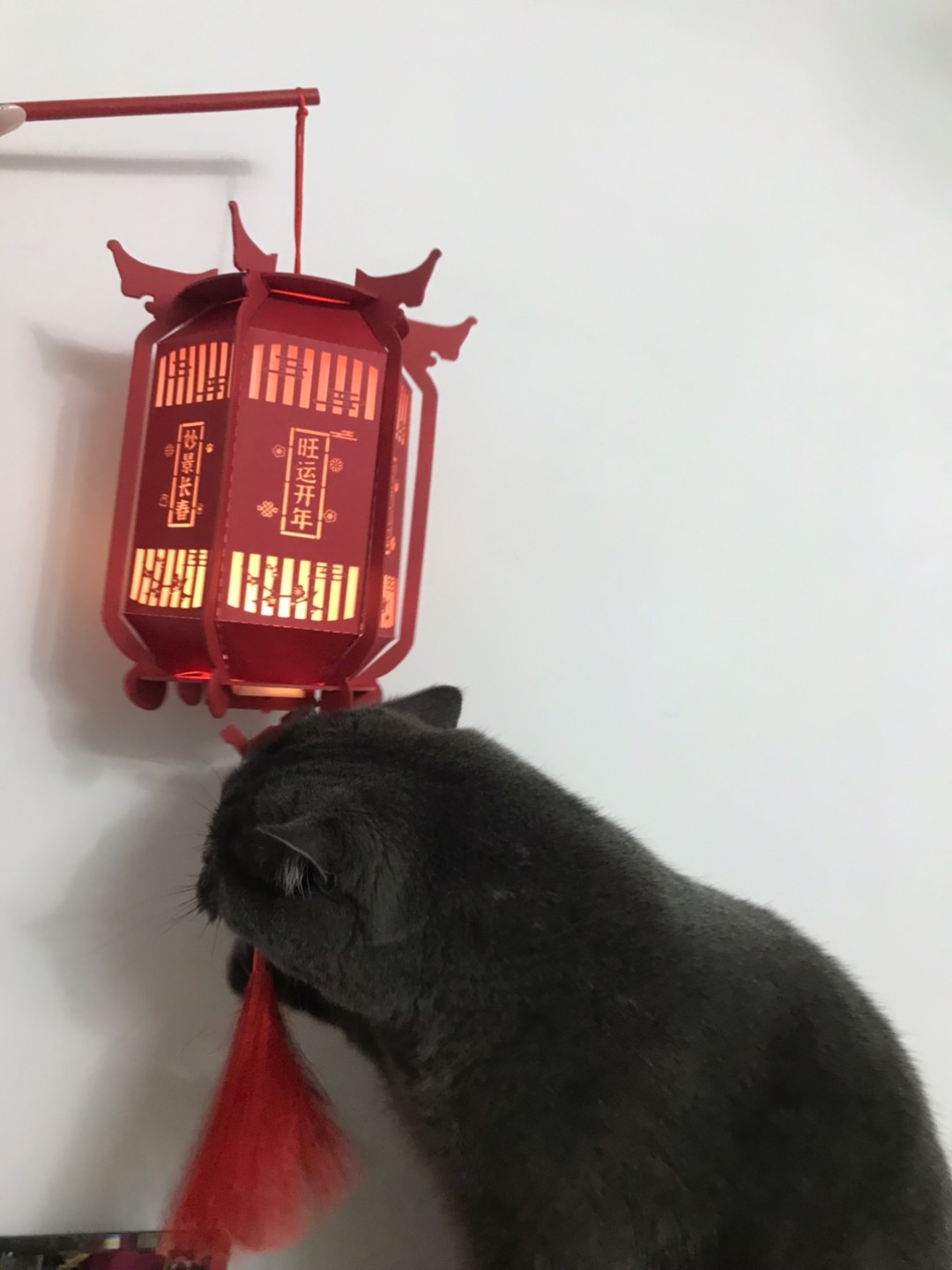 搞破坏啊！！！