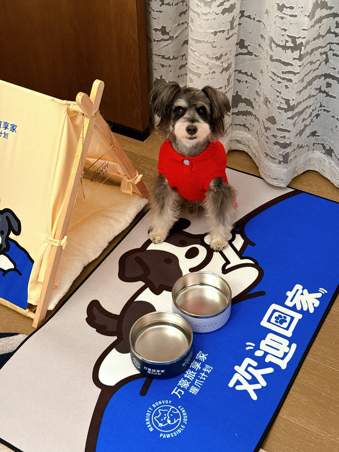 这家酒店说“欢迎小狗回家❤️”