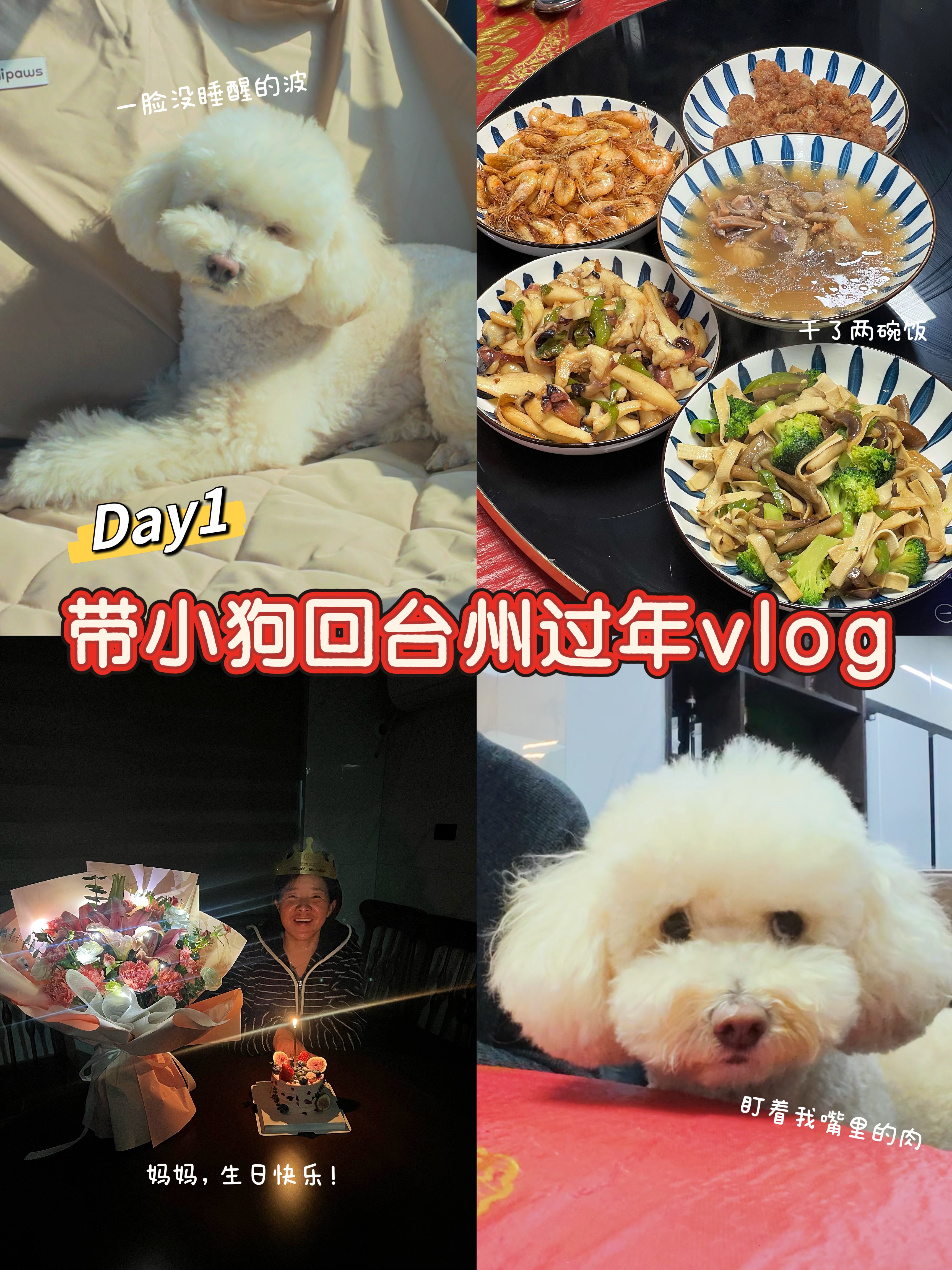 Vlog带小狗回台州过年-Day1返乡