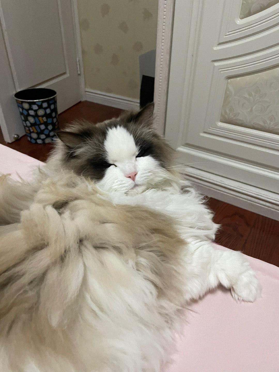 哈哈哈个哈哈哈哈哈哈哈哈哈哈哈哈哈笑得想吐哈哈哈哈哈哈我的宝啊哈哈啊