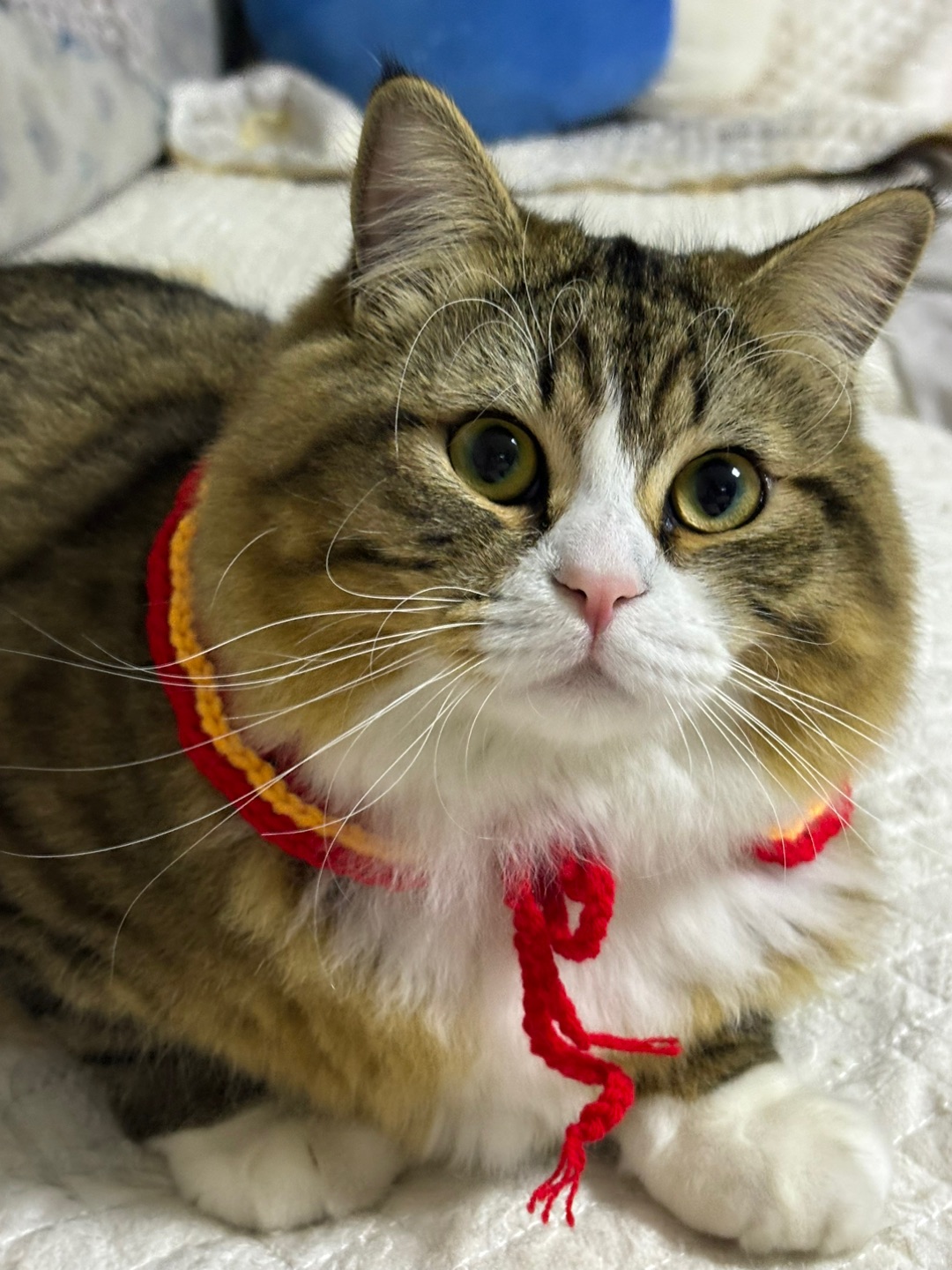 哈哈哈哈哈哈哈哈哈哈哈哈哈哈哈哈哈哈哈哈哈哈哈哈哈哈哈哈哈哈哈