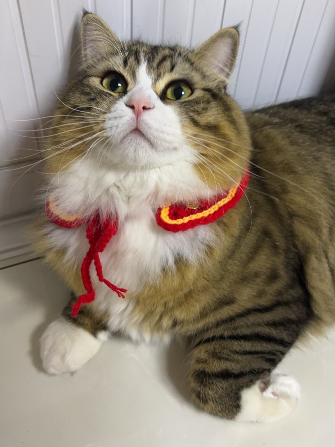 哈哈哈哈哈哈哈哈哈哈哈哈哈哈哈哈哈哈哈哈哈哈哈哈哈哈哈哈哈哈哈