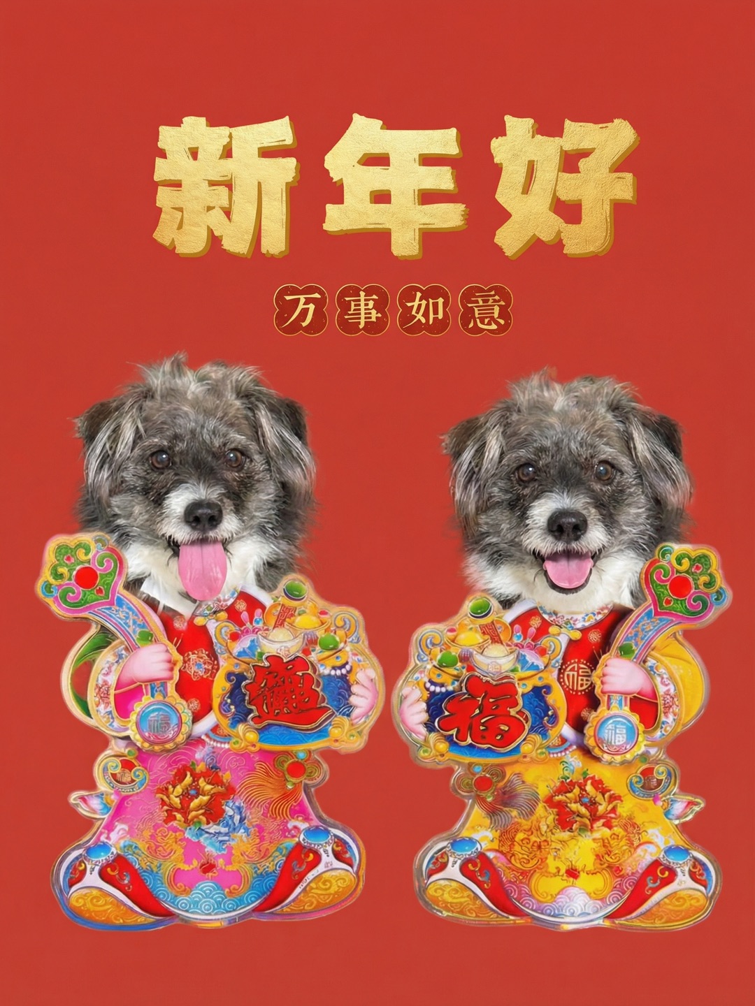 四妹说过年好呀🧨