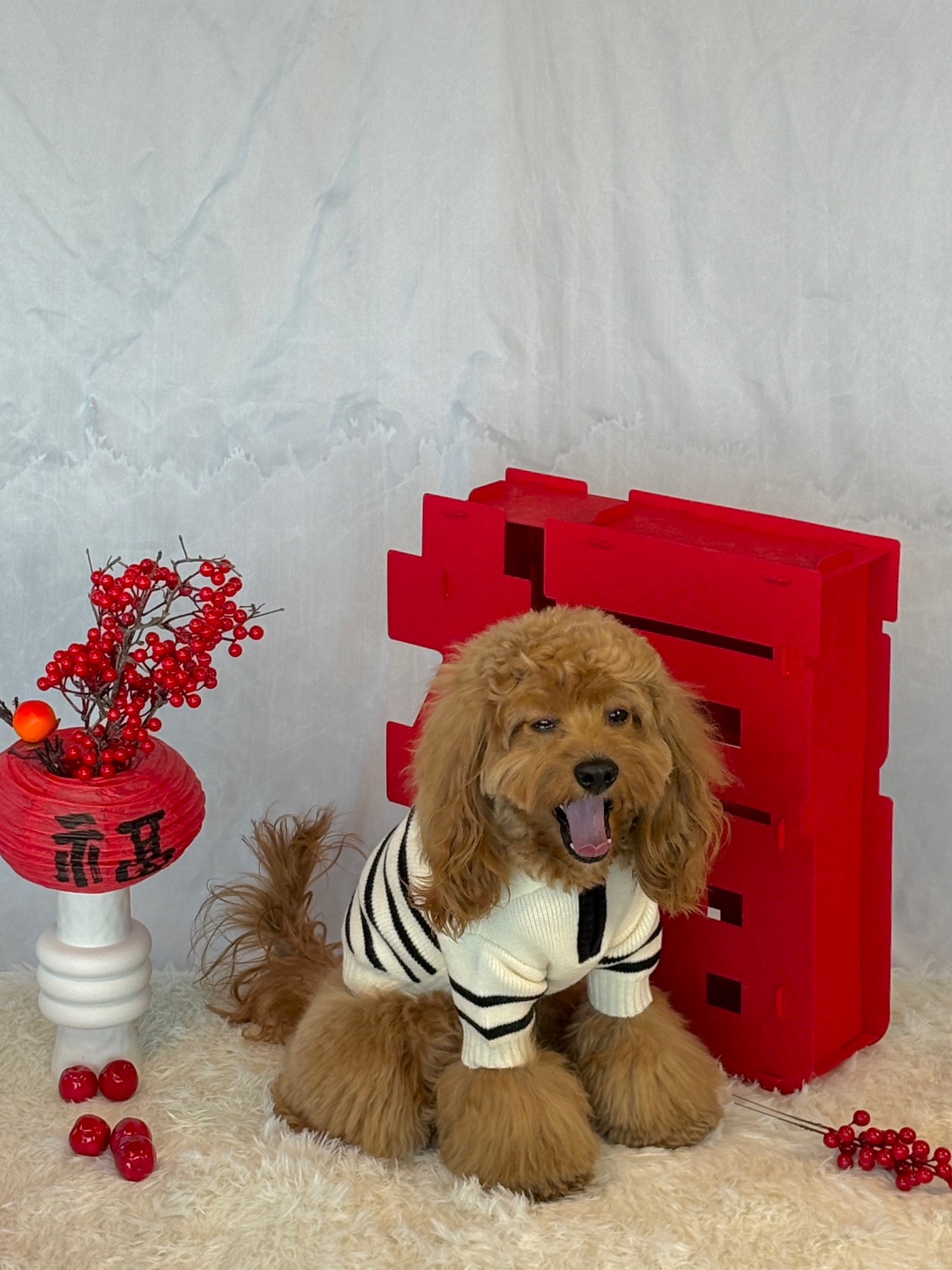 Cuca's Daily 除夕快乐！