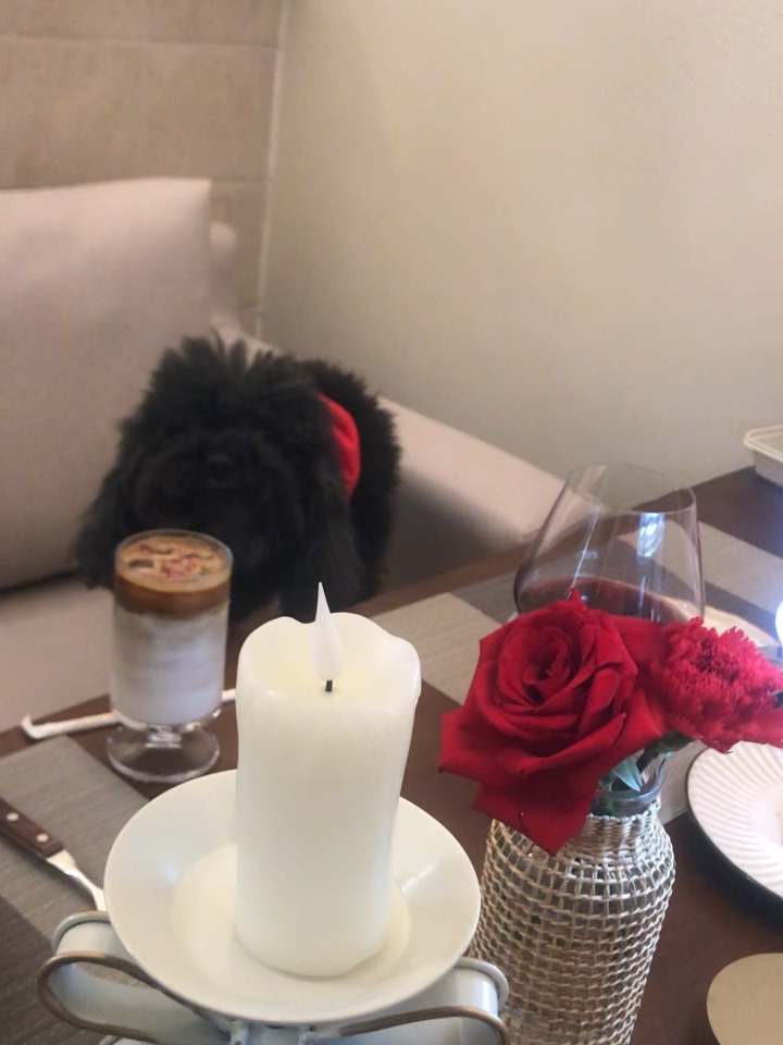 有毛孩子陪我过年