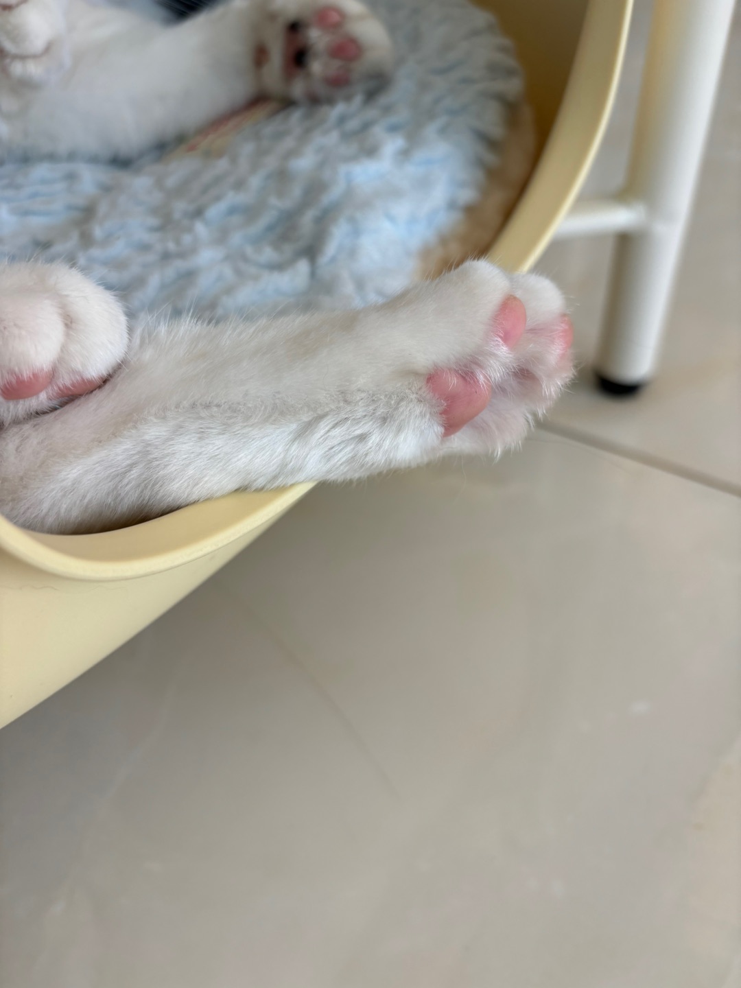 ヽ(^0^)ノ(^-^)/(^-^)/ヽ(^0^)ノ~(＾◇^)/