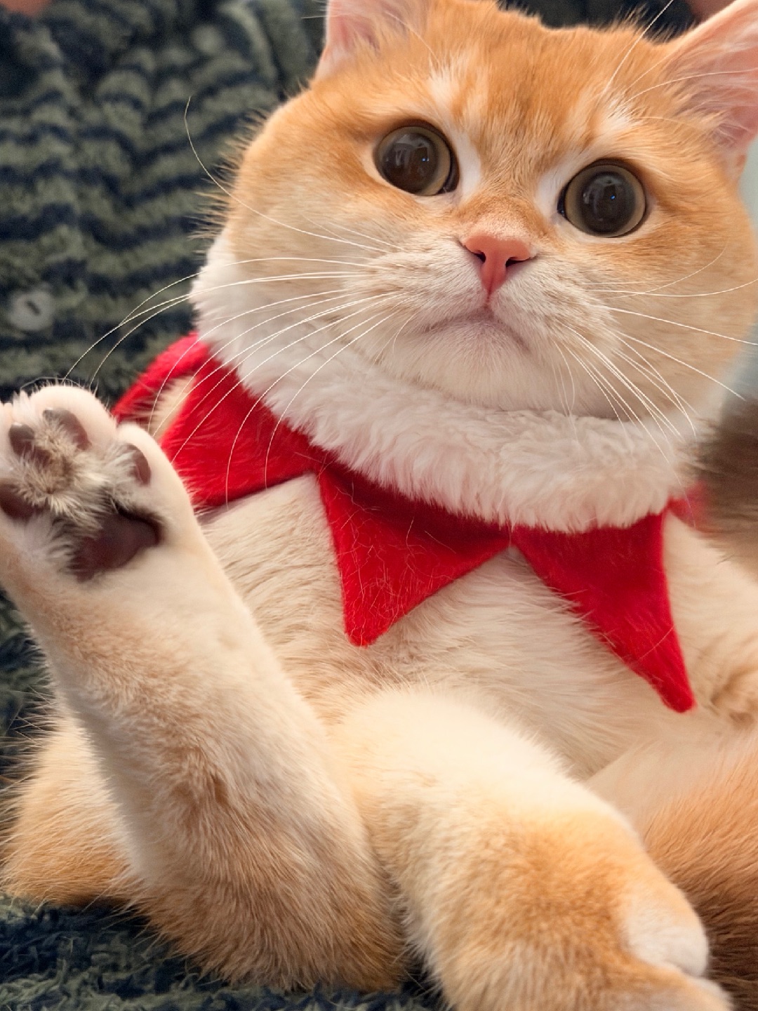 被姨姨抱着翘jiojio的快乐，谁懂？