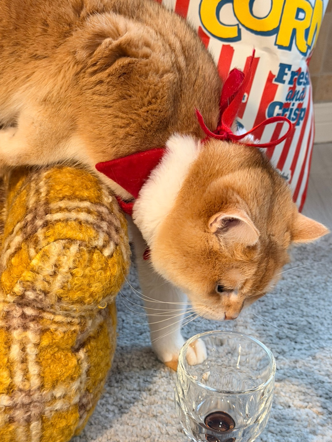 ❗️宣布，“沙发C位”已被我承包🤣