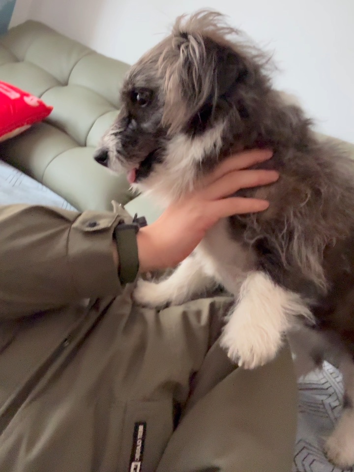 过年在家称霸王