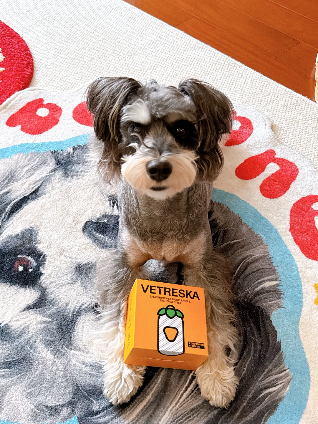 橘子味的🍊小斗喜欢