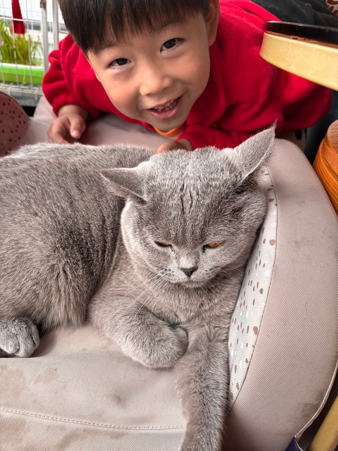 大年初二喵和小主人